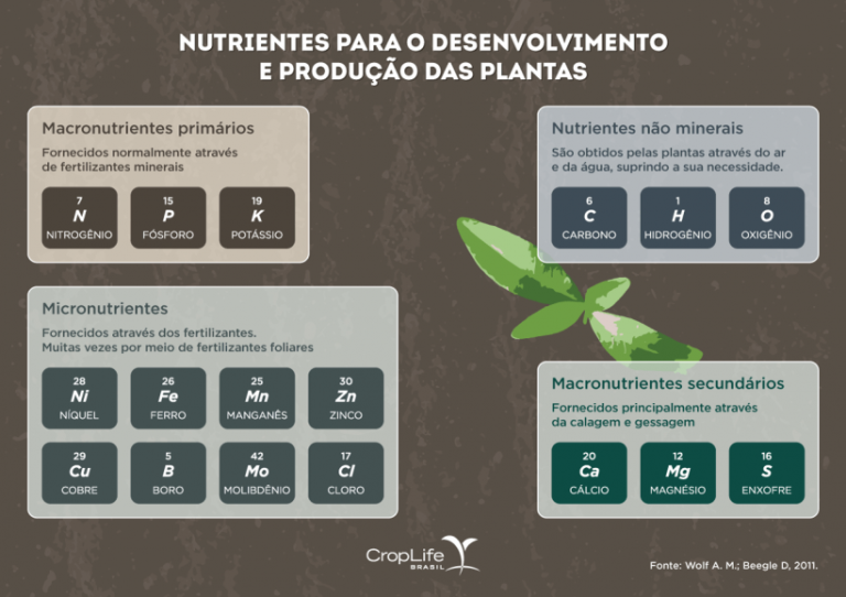 Conhe A Os Nutrientes Do Solo Essenciais Para Soja Milho E Trigo